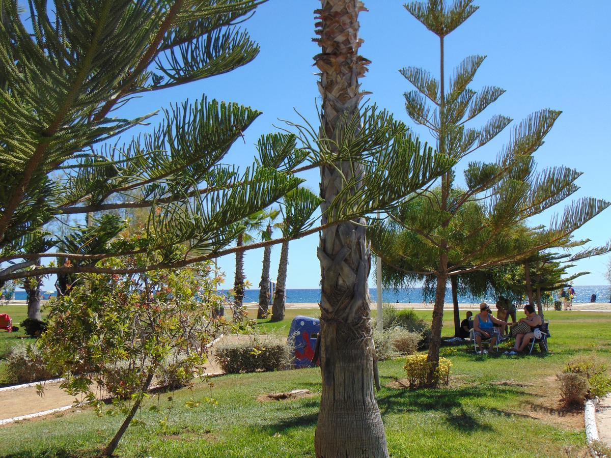 Apartamentos Varios Con 2 Dorm En Marina Dor , La Playa De Amplaries 47 , Vista Lateral Al Mar 奥罗佩萨德尔马 外观 照片